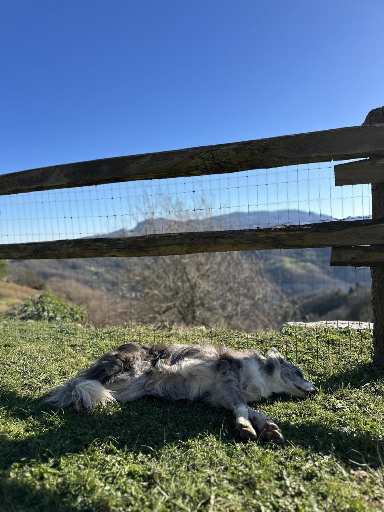 Almastur Rural Villa Siero Eksteriør billede